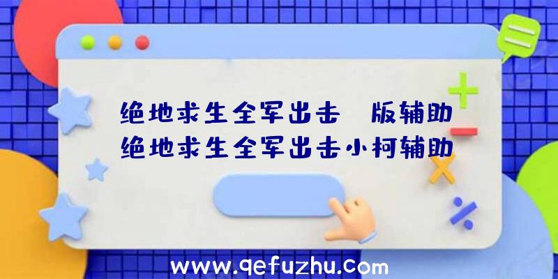 「绝地求生全军出击cp版辅助」|绝地求生全军出击小柯辅助